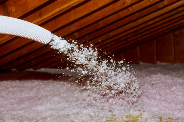 Best Cellulose Insulation in USA